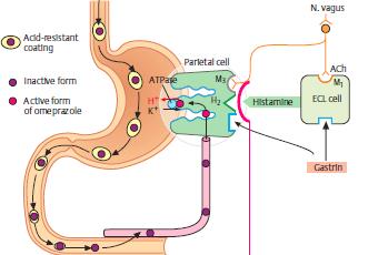 Inhibitory