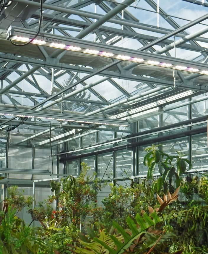 Provoz 8 Hlavním posláním provozního útvaru je zajistit celoroční bezproblémové fungování botanické zahrady a technickou podporu pro další útvary a oddělení.