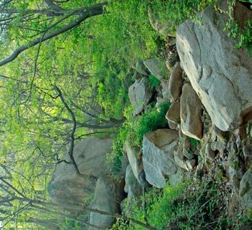 Spolupráce je založena na recipročních výměnných cestách. V tomto roce jsme se zaměřili na provincie Hebei, Shanxi a Shandong, zejména na horské oblasti a pivoňkové a okrasné školky.