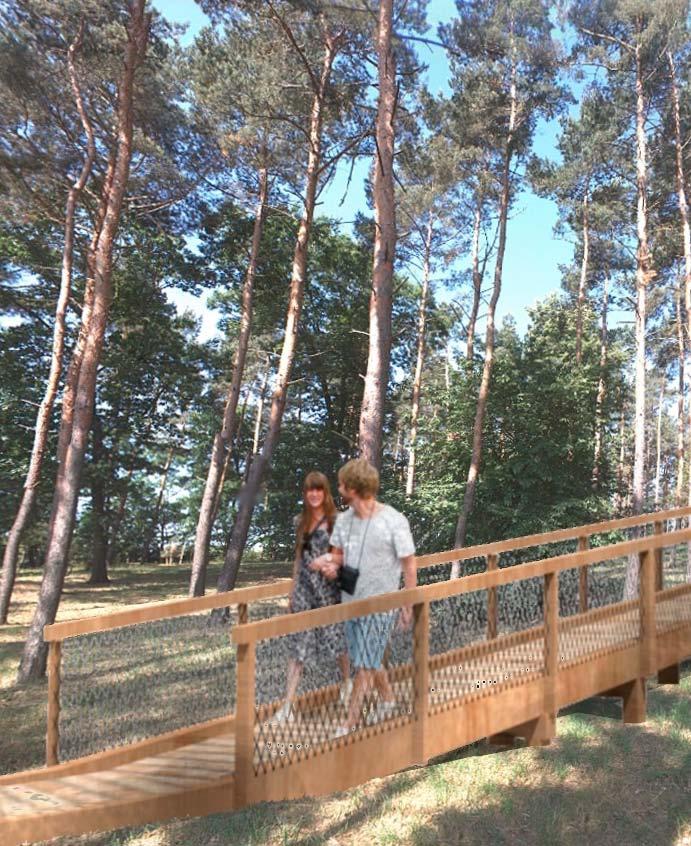 Lesní stezka Jak přiblížit návštěvníkům to, co se odehrává v lese, když z výše člověka jsou vidět jen kmeny stromů?