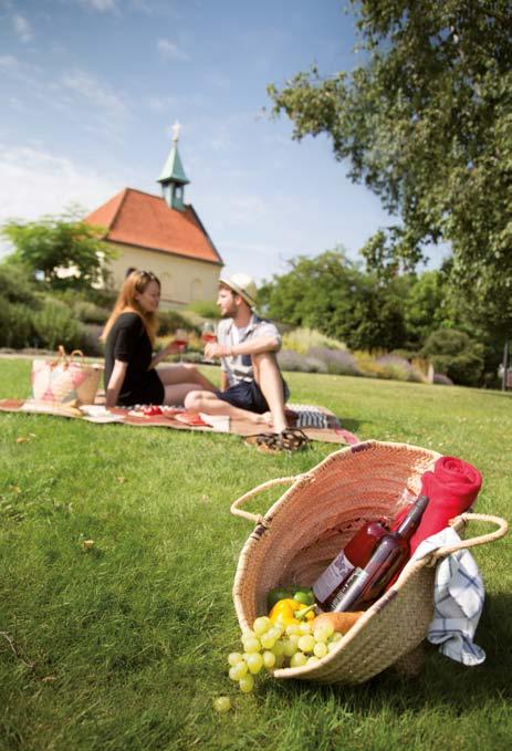 cz Obklopte se zelení, užijte si letní pohodu a piknik v Troji! www.botanicka.