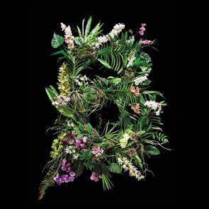 www.botanicka.