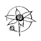 Union) MEIS (Middle-European Iris Society) IBSA (Indigenous Bulb Association of South Africa)