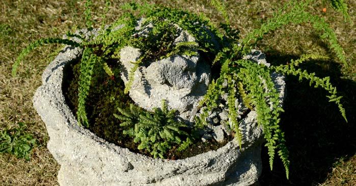 6 Hypertufa v