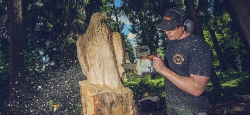 Zpravodaj Obce Lipno nad Vltavou Strana 6 SLAVNOSTI DŘEVA U STEZKY KORUNAMI STROMŮ 15. 6. 2019 od 10:00 do 17:00 bude probíhat nabitý program u Stezky korunami stromů.