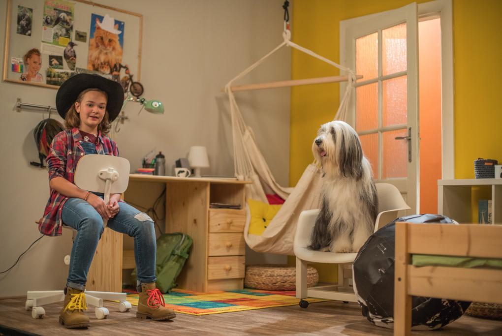 Magazíny a lifestylové pořady Terčin zvířecí svět (8-12) formou videoblogu dvanáctiletá Terka radí svým vrstevníkům, jak se starat o zvířecí mazlíčky.