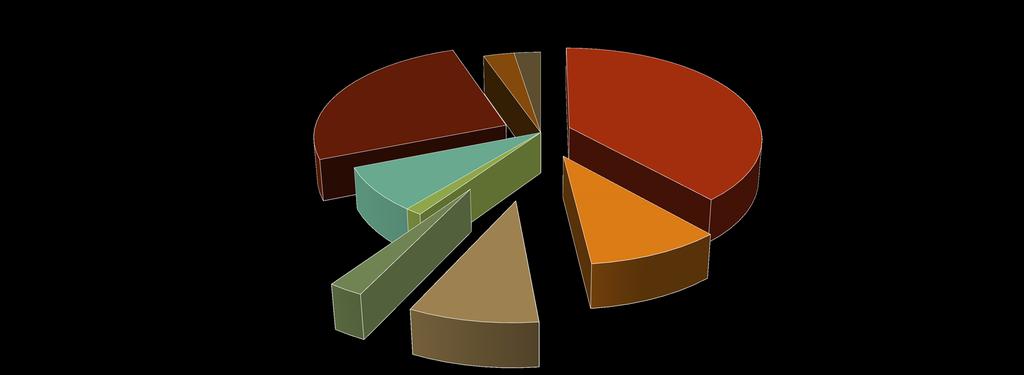 Zemřelí dle místa úmrtí Doma 26 % Nemocnice akutní péče 38 % Hospic 2,5 %