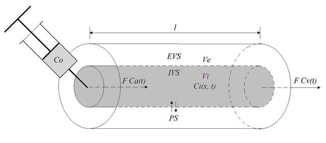 Ketyho přístup je základem i pro vybraný matematický model, a to model homogenní tkáně, tissue homogenity model (TH).