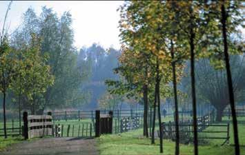 29 Pohled do části parku Parc de la Deûle (foto převzato z: http://www. wikiwand.com/fr/espace_naturel_lille_m%c3%a9tropole) Plavba po kanálu Deûle je opět v provozu od roku 2011 (foto z: http://www.