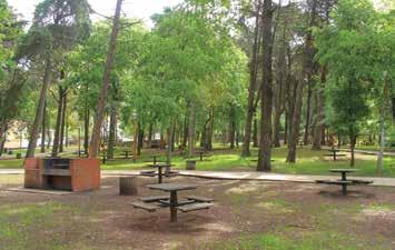 V letech 1960 až 1990 docházelo k přirozené sukcesi lesního společenstva a od roku 1990 se pozornost zaměřuje na kontrolu invazivních druhů. Park se během své existence potýkal s celou řadou problémů.