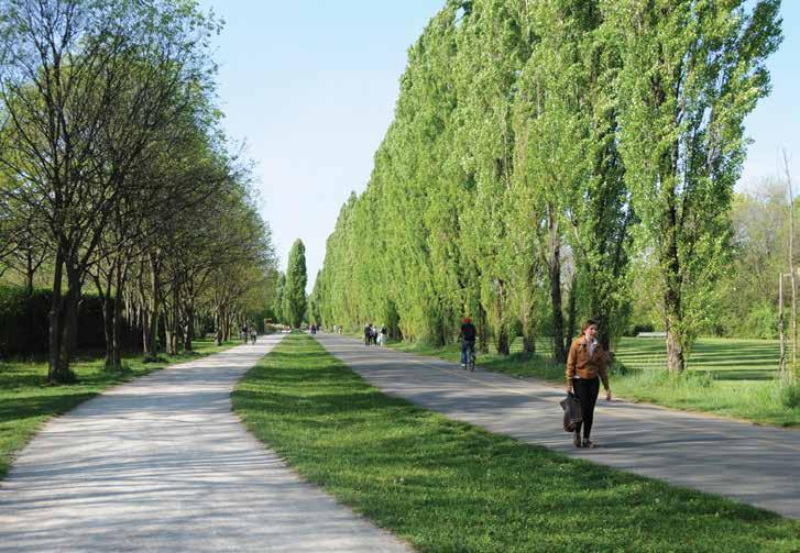 56 [6] Gini, R. 2005. Social audit and the protected areas, Giving value to the work of park, From constructipn to use:results and perspectives.