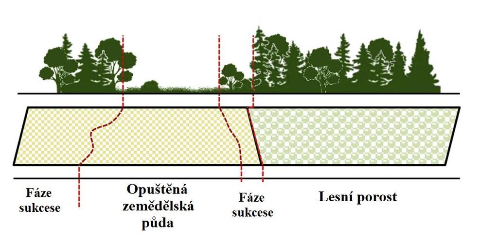 ogden utah datování