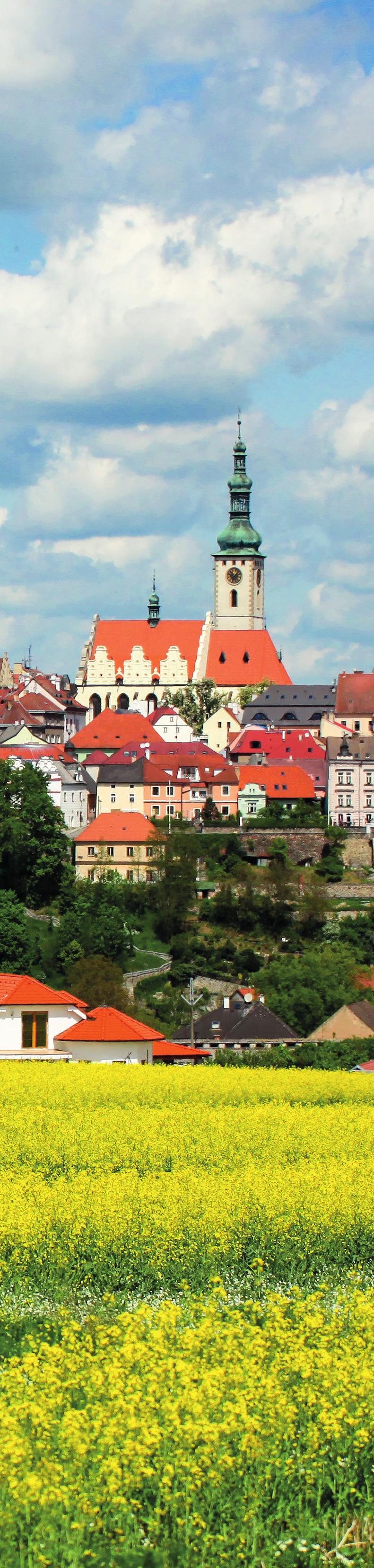 čtvrtek 10. října SPOLEČNÝ PROGRAM V KONGRESOVÉM SÁLE HOTELU PALCÁT Ing. Jiří Horecký, Ph.D., MBA prezident APSS ČR, UZS ČR a EAN Mgr. Bc. Andrea Tajanovská, DiS.