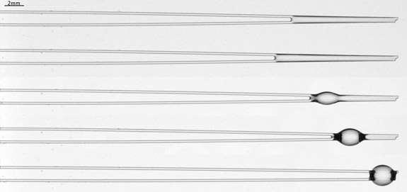 Zvětšující se objem kapky The team's experiments show that the size of oil droplets determines whether they spread along flexible glass fibers.