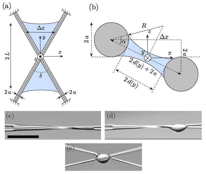 Vedle vlivu geometrie uspořádání paralelních vláken na množství zadržené