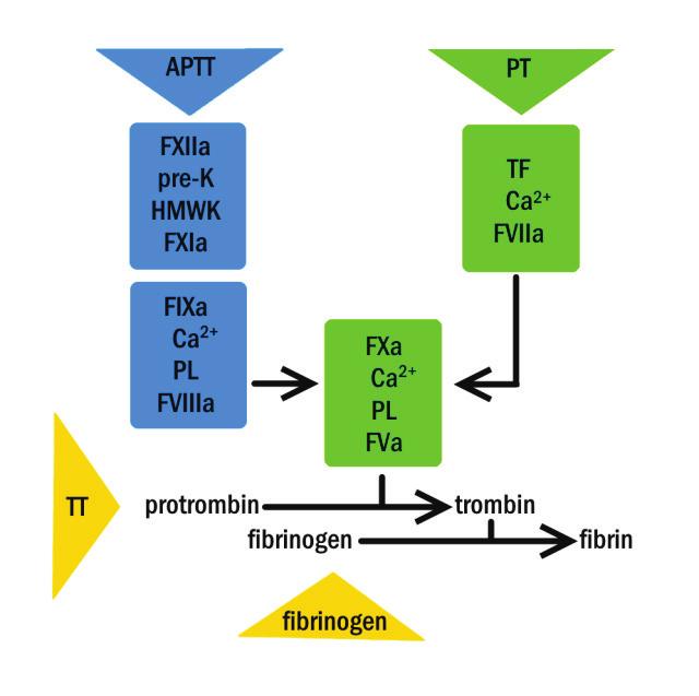 107 KREV Vysvětlivky: APTT = activated partial thromboplastin time, aktivovaný parciální tromboplastinový čas, PT = prothrombin time, protrombinový čas, TT = trombin time, trombinový čas, Pre-K =