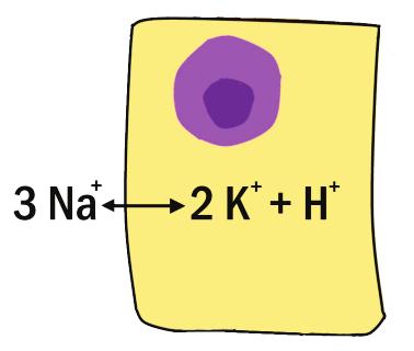 145 VNITŘNÍ PROSTŘEDÍ 8.3.