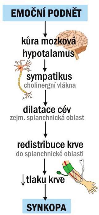 195 VĚDOMÍ 12.