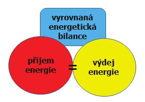 PŘEHLED FYZIOLOGIE I PRO VFU BRNO 208 aj.; Aerobní způsob života (oxybióza) je nezbytnou podmínkou existence vyšších organismů.