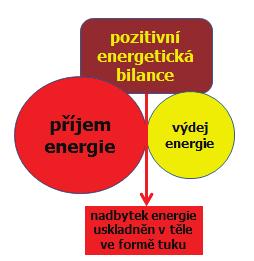 umožňuje získat z potravy více energie v podobě ATP. Kyslík v podobě reaktivních forem kyslíku (ROS, reactive oxygen species) může představovat pro organismus určité nebezpečí.