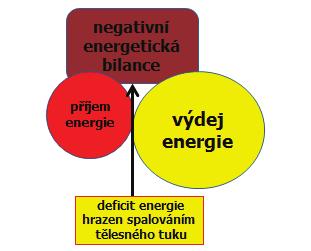 209 METABOLISMUS negativní energetická bilance, tj.