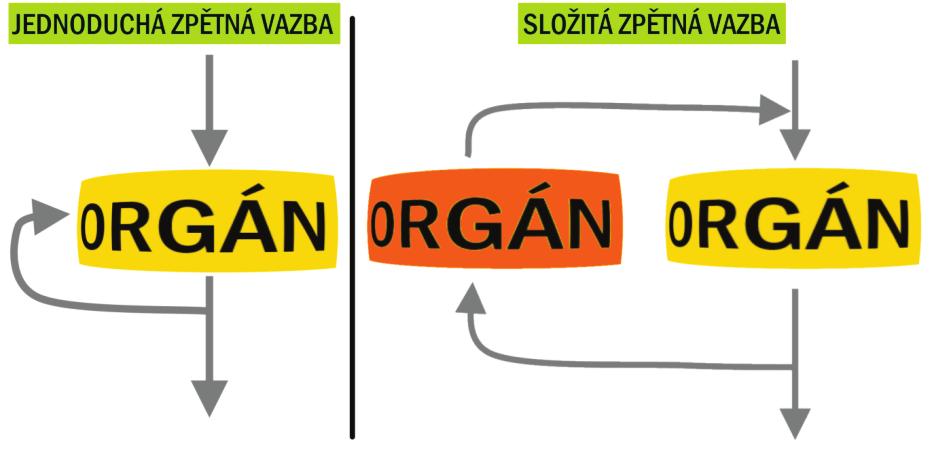 PŘEHLED FYZIOLOGIE I PRO VFU BRNO 48 stav systému jsou okamžité funkční vlastnosti systému, rozlišuje se: stav ustálený (steady state), tzn.