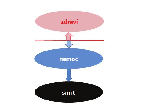 63 ZDRAVÍ, NEMOC, SMRT 5.