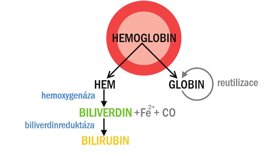 83 KREV snížení aktivity enzymů sacharidového metabolismu, oxidativní poškození (působení oxidačního stresu, snížení aktivity antioxidačních enzymů) vede k: vzestupu tvorby methemoglobinu (obsahuje