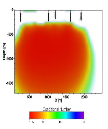 receiver array installed in shallow boreholes, represented by the black