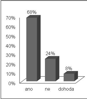 informaci uváděli nutnost zvýšených nákladů v těhotenství (lékařská péče, strava a doplňky stravy, těhotenské oblečení, ) a také byla zmiňována nutnost kompenzace ušlého zisku z důvodu odchodu z