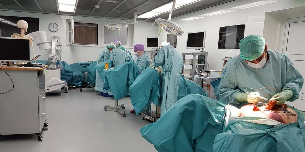 ESGO Advanced Course on Fertility Sparing Management of Gynaecological Cancers, Cadaver Workshop International Surgical Centrum, Hamburg, Germany 7 9. 3.