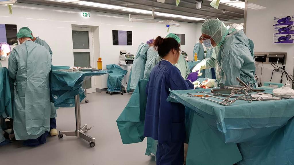 Výběrový kurz pro dvacet účastníků byl určen pro lékaře se zkušeností v pokročilé onkogynekologické operativě a oboru onkogynekologie.