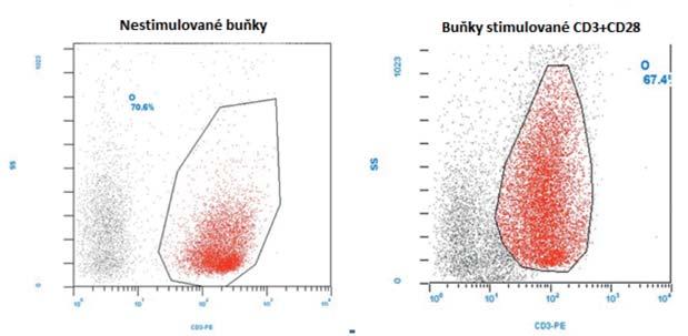 Obrázek 2: Výběr populace Když byla analyzována proliferace nebo aktivace CD4 + y CD8 + T lymfocytárních subpopulací, výsledky byly podobné těm, které jsou popsány u celkových T lymfocytů (CD3 +).