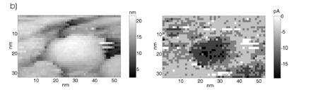 BEEM (microscopy) AFM topography ballistic current (in pa at Itun = 2.5 na, V tun = 1.5 V) Obr. 18.