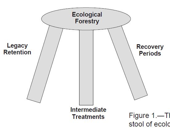 Ecologické lesnictví hlavní principy 1. Zahrnutí biologického dědictví do hospodaření s lesy 2. Aplikace postupů zvyšují rozmanitost v lesích 3.
