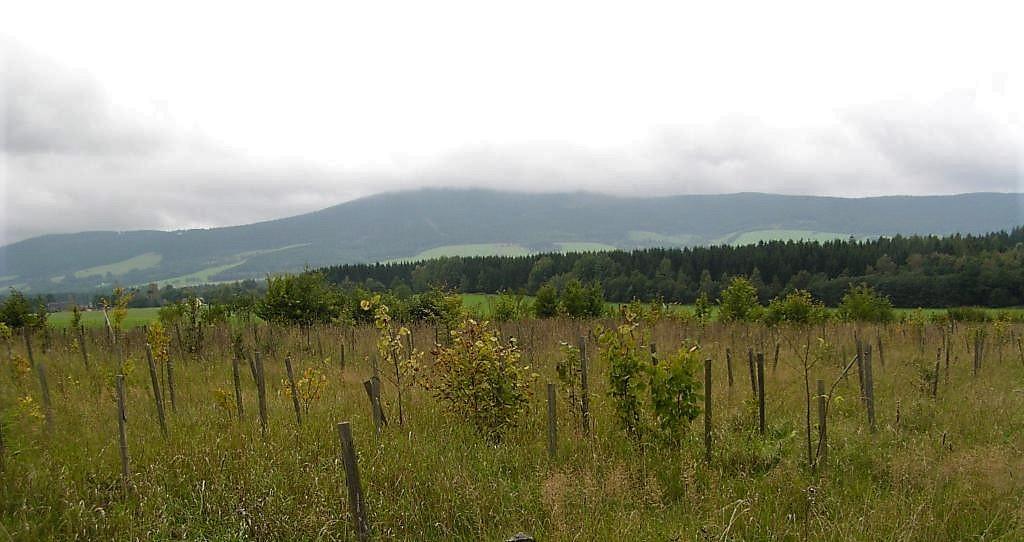 2. Založení biocenter a biokoridorů ÚSES nebo jejich části Výše podpory 100% Podmínka: založení