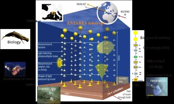 Antares detekce neutrin, 0.