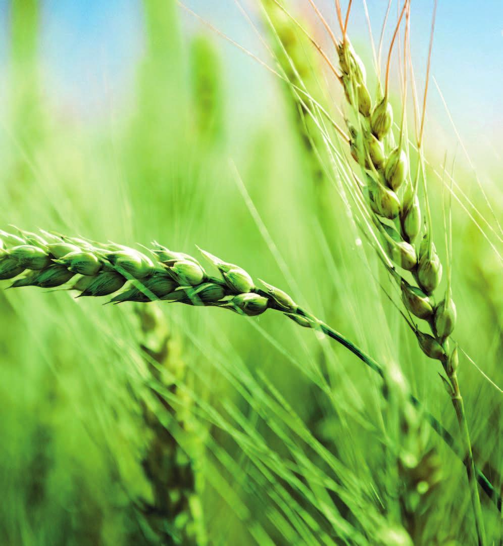 agrotip Informační měsíčník BASF pro české