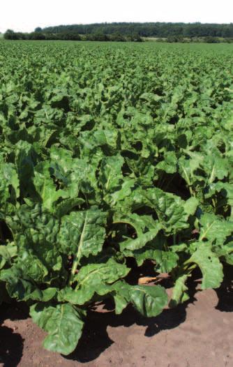 cz 40 Akce Dagonis - Fungicid pro vysněnou sklizeň 42 Akce Delan Pro - Proaktivní technologie agrotip Vydavatel: BASF spol. s r.