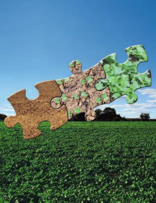 Obsahuje dvě optimálně vyvážené látky metkonazol a mepiquat-chlorid, které zajišťují dokonalé zastavení apikální dominance, současně podporují vznik pupenů výnosotvorných větví, zesilují kořenový