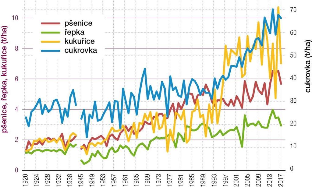 Vývoj výnosů hlavních plodin (graf ČSÚ) Obilniny Celková sklizeň obilovin ve výši 6 970,9 tis. t byla proti roku 2017 nižší o 485,7 tis. t, tj. o 6,5 %.