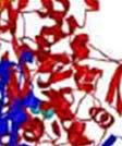 Absorbance vzorku přitom přímo závisí na množství nukleových kyselin v roztoku a hodnotu absorbance při 260 nm (A260) můžeme využít k