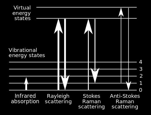 Raman spectroscopy is based on the Raman scattering where small part (10 7 ) of the monochromomatic light is scattered inelastically by phonons.