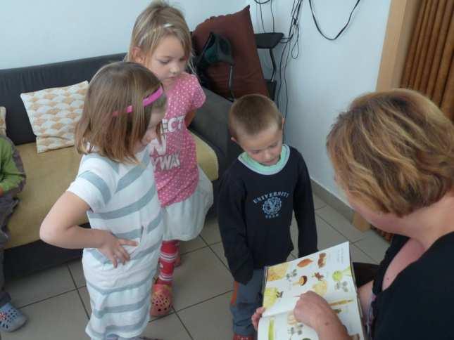 Individuální projekt Základní síť sociálních služeb ve Středočeském kraji č. CZ.1.04/3.1.00/05.