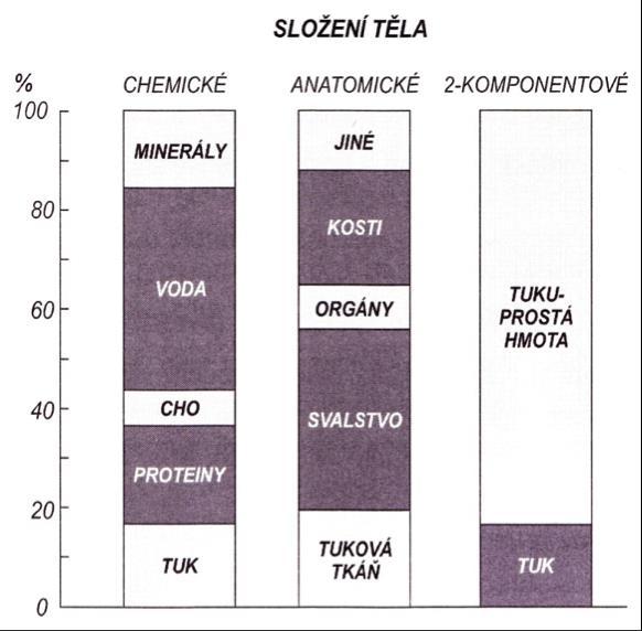 Obrázek 1. Chemický, anatomický a dvoukomponentový model tělesného složení (upraveno podle Wilmora, 1992) Podle Kutáče (2009), Riegerové et al.