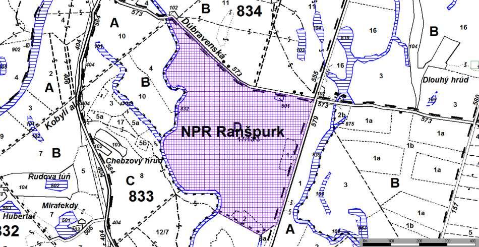 NPR Ranšpurk 19,20 ha Stávající NPR je ukázkou přirozeného vývoje biotopu lužního lesa. Stávající kategorie NPR zajišťuje dostatečnou ochranu území.