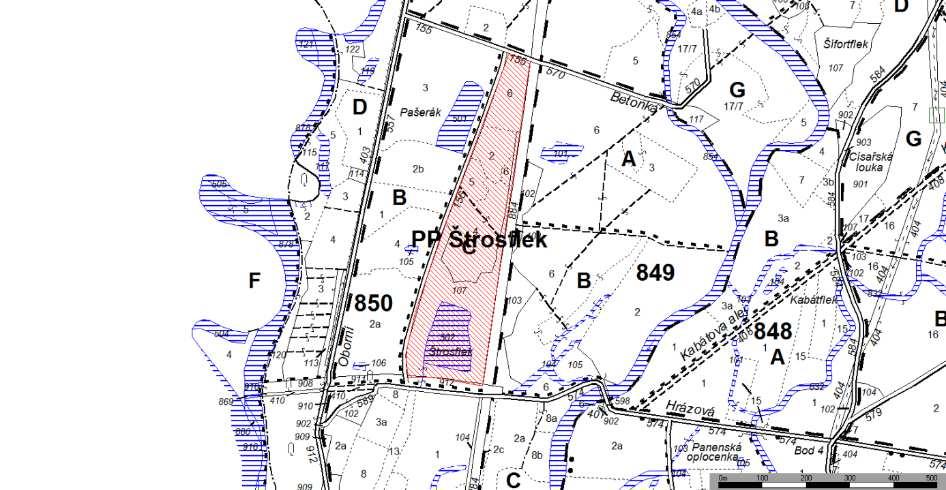 NPP Štrosflek 9,70 ha 91E0* - Smíšené jasanovo-olšové lužní lesy temperátní a boreální Evropy (Alno-Padion, Alnion incanae, Salicion albae) 3130 - Oligotrofní až mezotrofní stojaté vody nížinného až