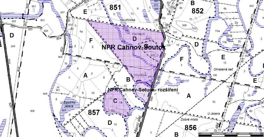 NPR Cahnov-Soutok 13,46 ha NPR Cahnov-Soutok rozšíření 1,7 ha Stávající území NPR Cahnov-Soutok navrhujeme rozšířit o 1,7 ha. Jedná se o lesní biotop obdobného charakteru jako v NPR (typ 91F0).
