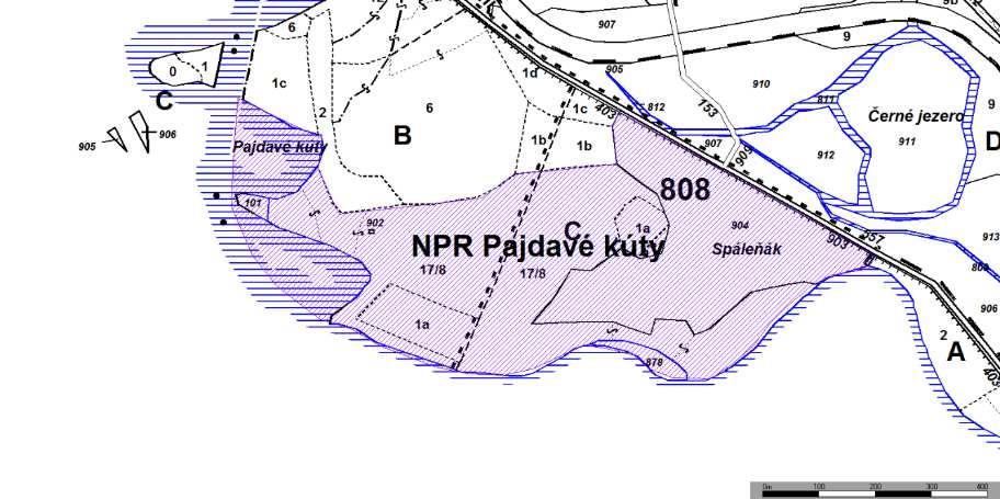 MZCHÚ v působnosti AOPK ČR RP Jižní Morava: - národní přírodní rezervace a národní přírodní památky NPR Pajdavé kúty 31,67 ha Lokalita představuje charakteristický biotop lužního lesa včetně vodních