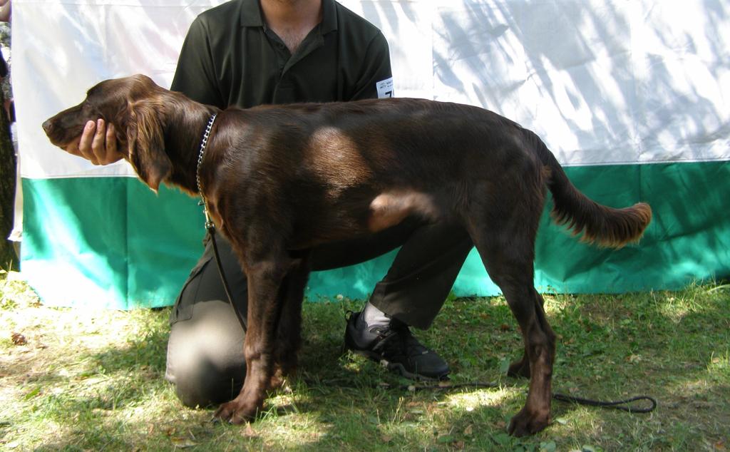 FENY - TŘÍDA DOROSTU 790 BRITA Z ČÍCHOVA VN1 13.12.